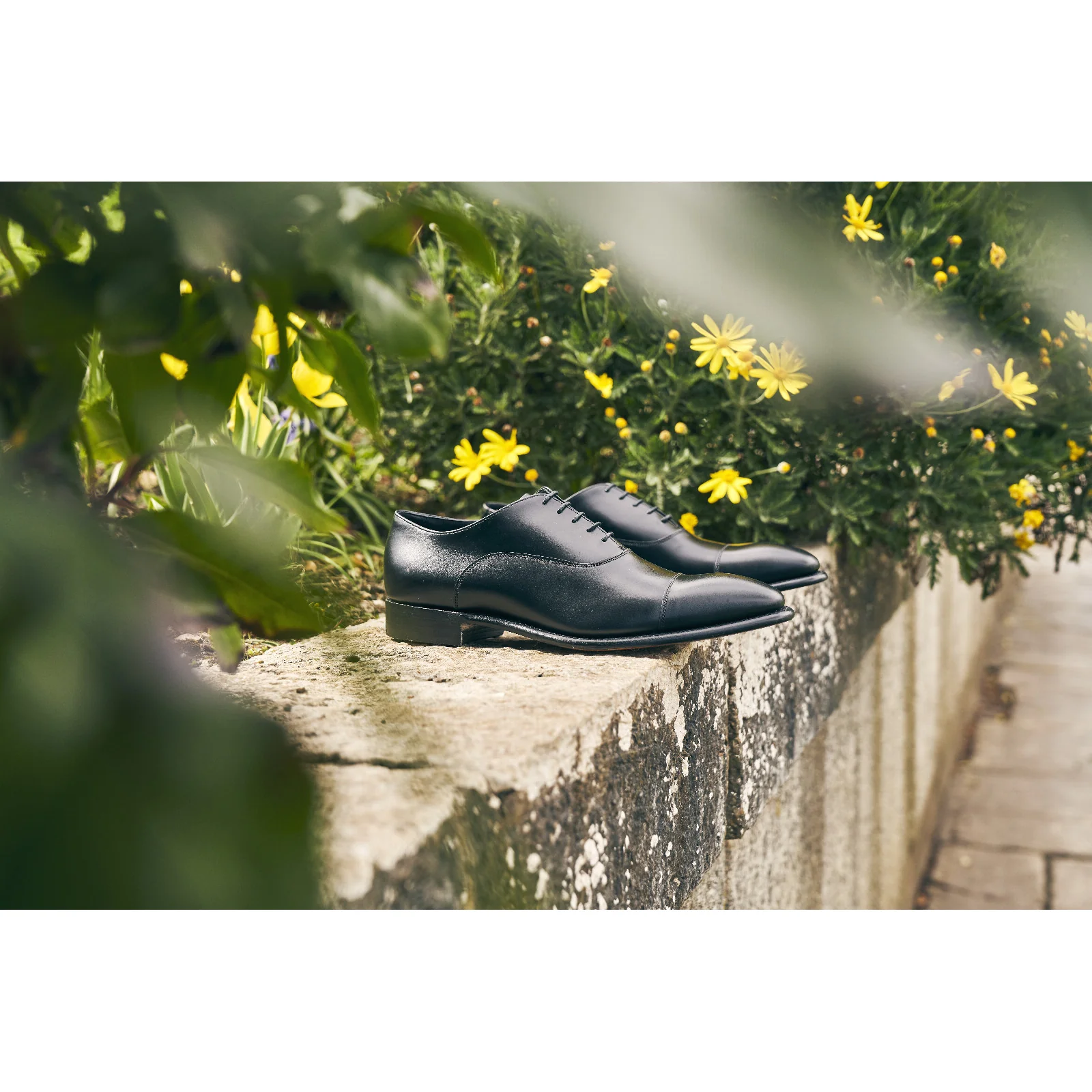 Herring Churchill II mens Oxfords in black calf - Image 6