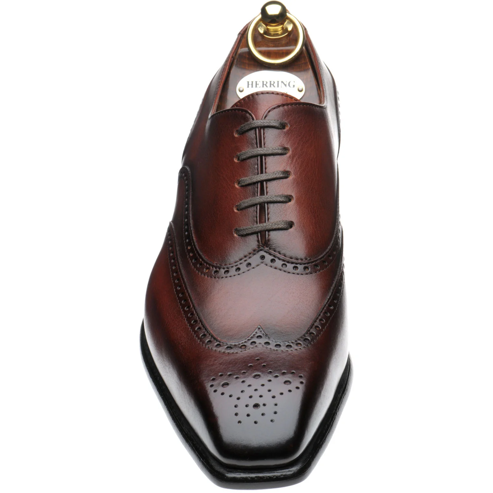 Herring Munster mens brogues in rosewood calf - Image 2